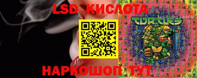 амф Донской