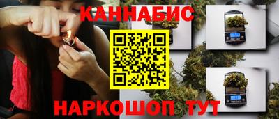 амф Донской