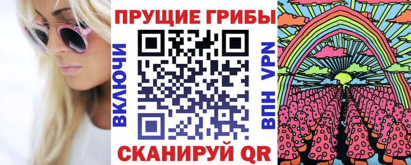 Галлюциногенные грибы Psilocybine cubensis  купить  цена  Нижний Новгород 