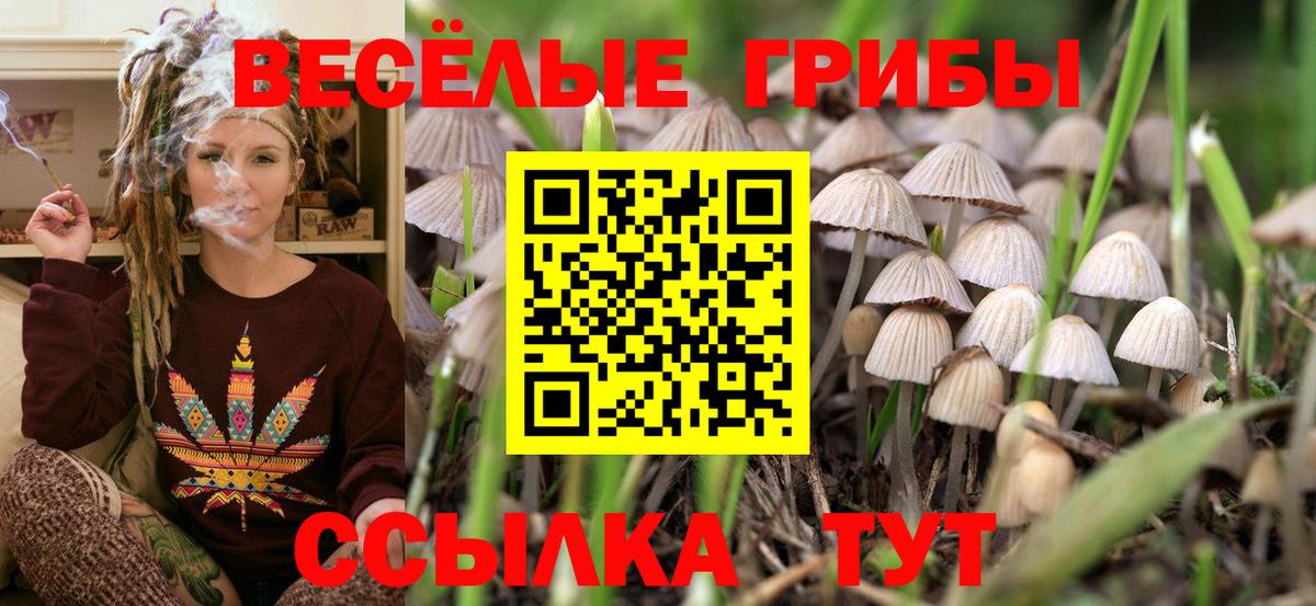 Нижний Новгород  Псилоцибиновые грибы Magic Shrooms  Вход с VPN  Псилоцибиновые грибы MAGIC MUSHROOMS 